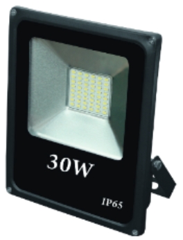 LED Fluter, 30W, IP65, 6400K